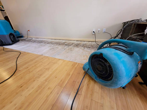 Professional Water Damage Repair technician working in Barstow, CA